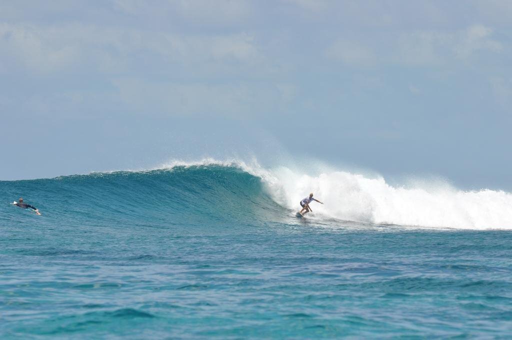 Obraz Palm Lodge Guest House 1*