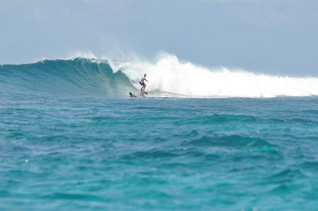 Zdjęcie Palm Lodge Guest House 1*