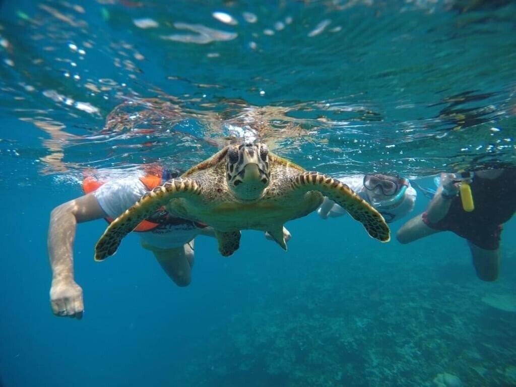 Фотографія Iris Beach Residence 3*