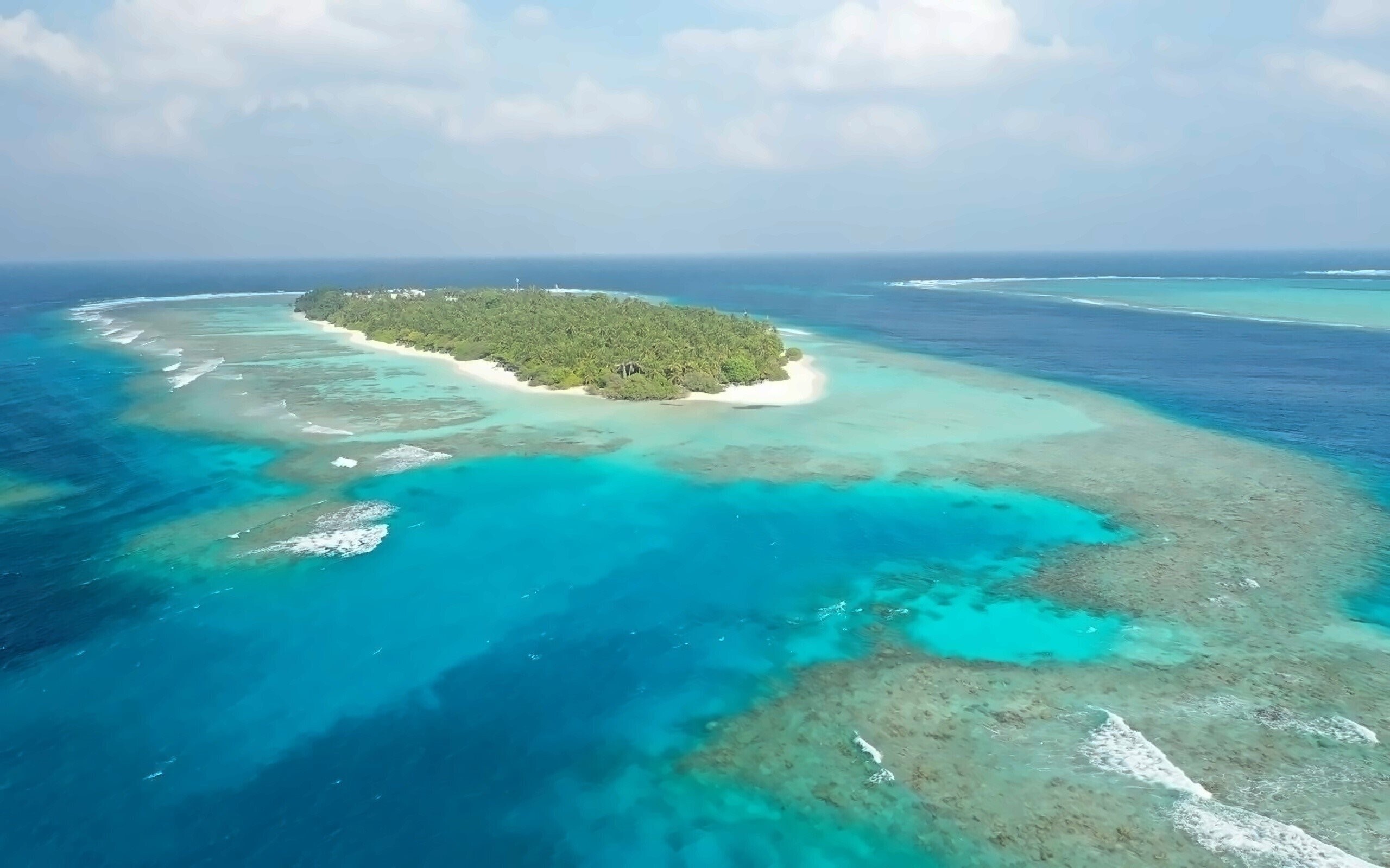 Фотографія Plumeria Maldives Guest House 1*