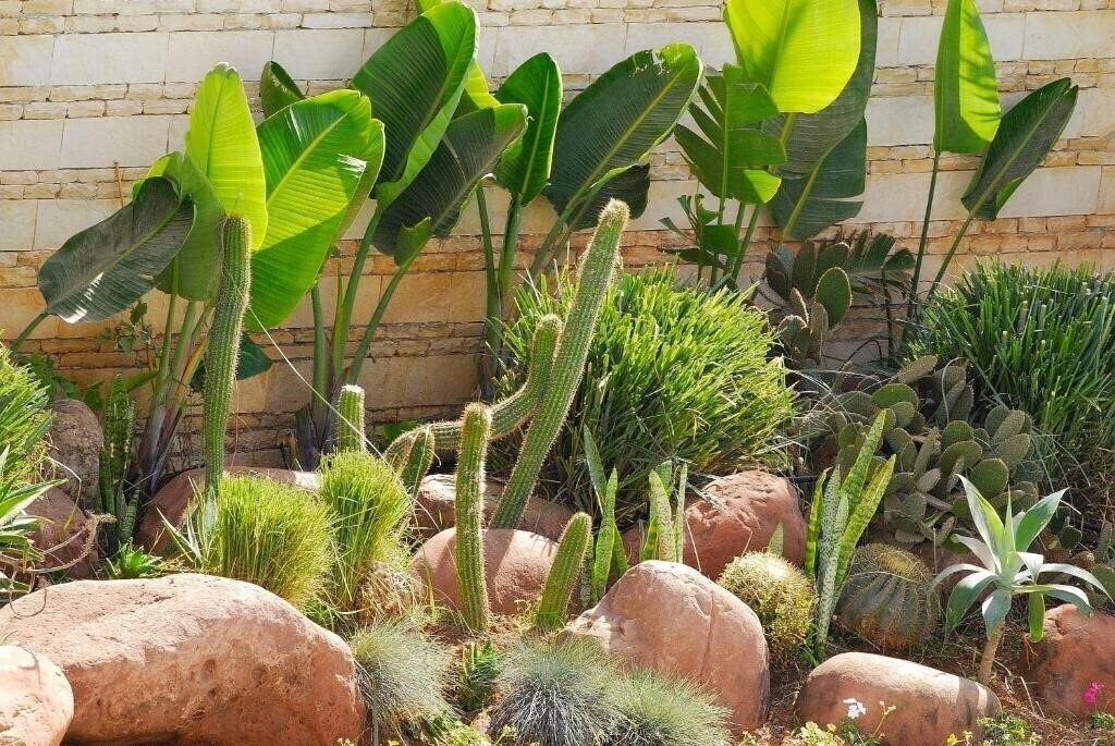 Zdjęcie Timoulay 4*