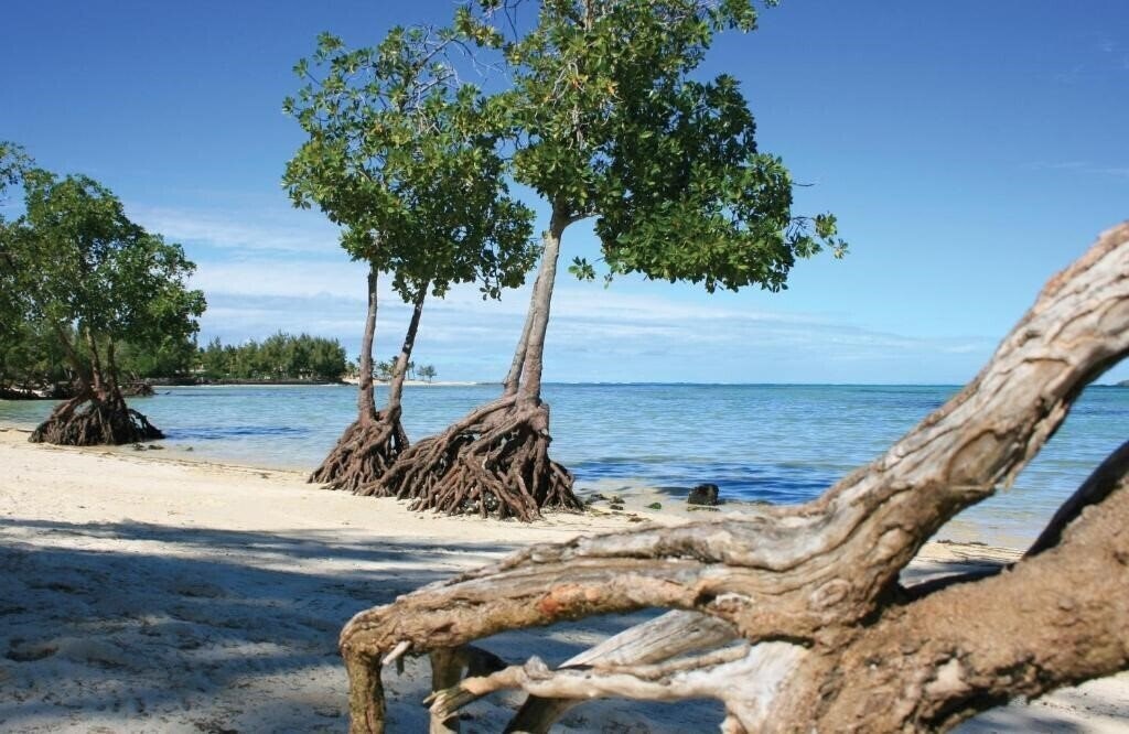 Zdjęcie Jalsa Beach Hotel & Spa Mauritus 4*