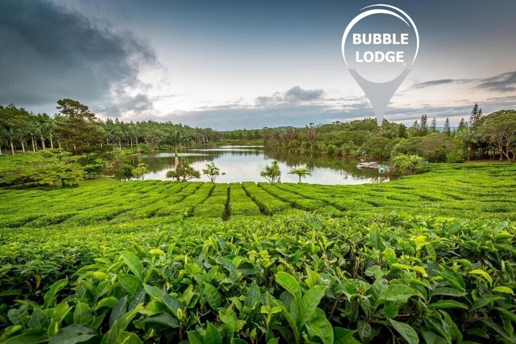 Zdjęcie Bubble Lodge 4*