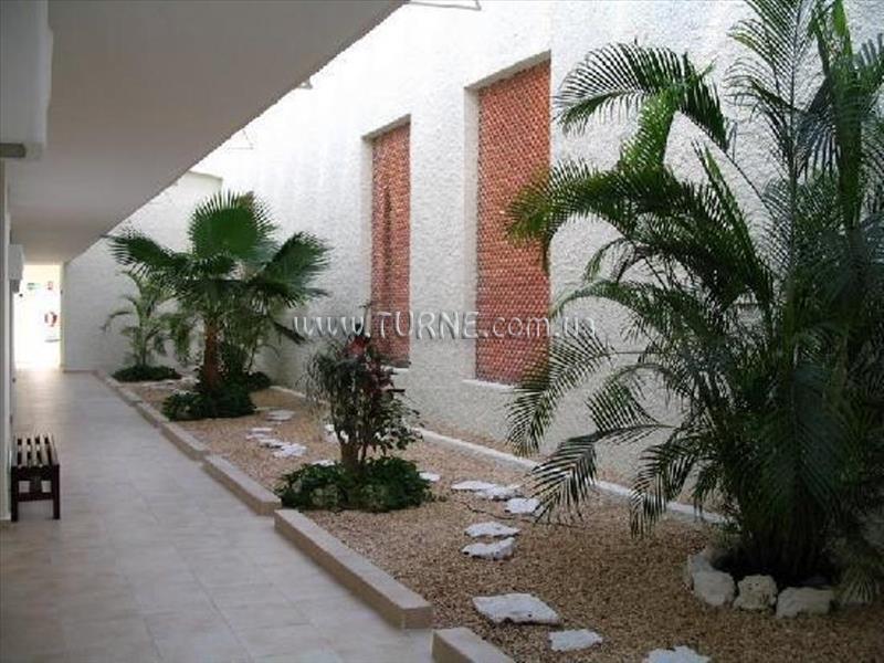 Картинка Holiday Inn Express 3*