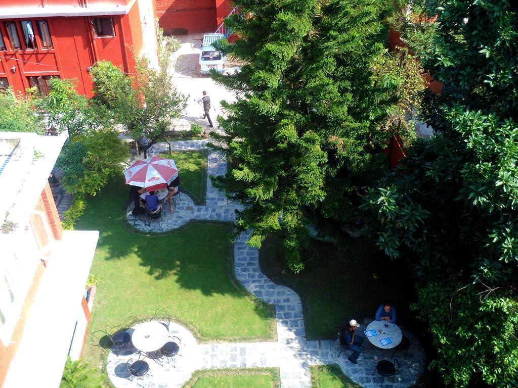 Hotel Hotel Blue Horizon 3*