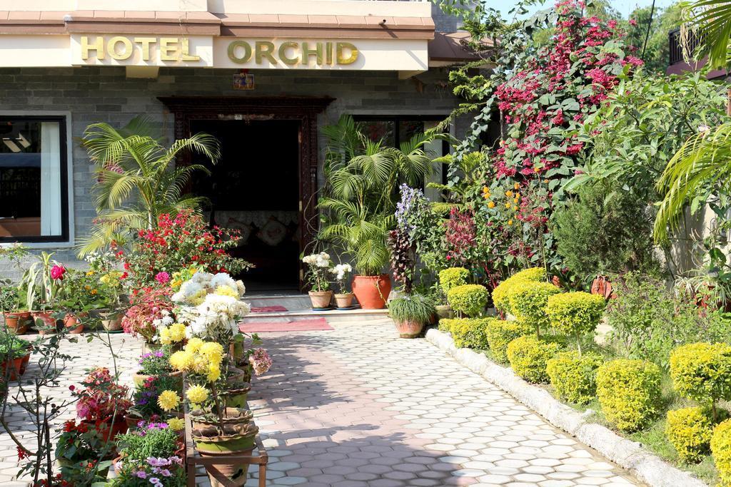 Zdjęcie Hotel Orchid 3*