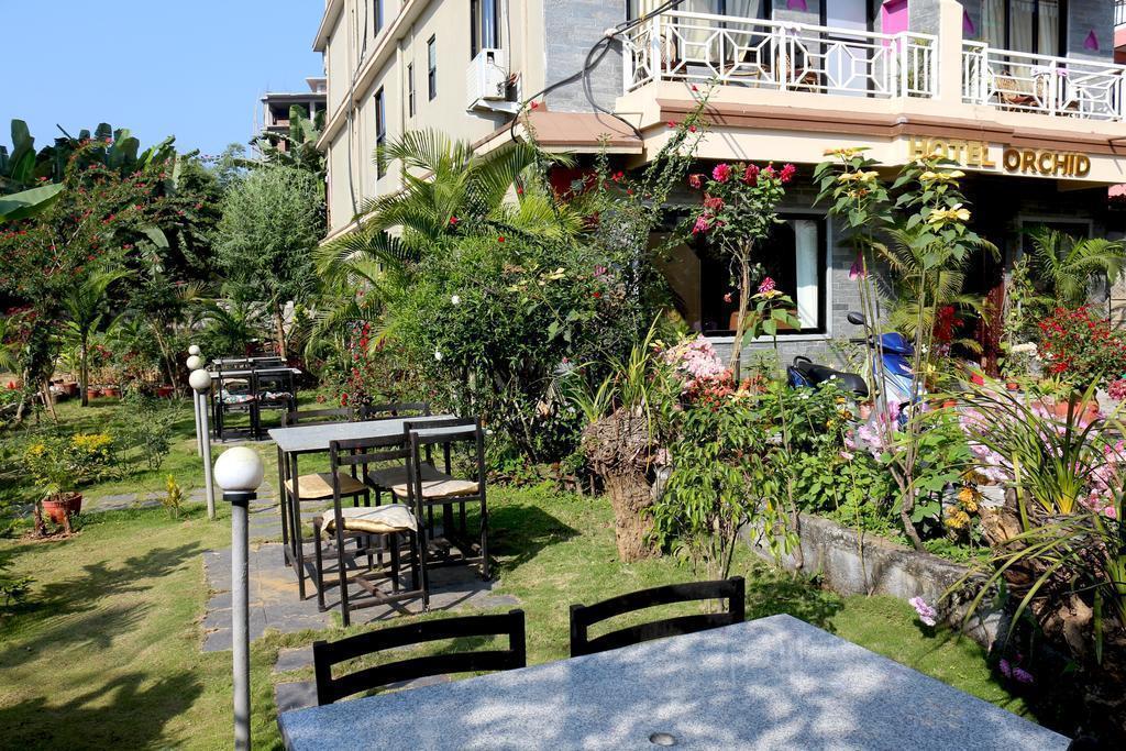 Obraz Hotel Orchid 3*