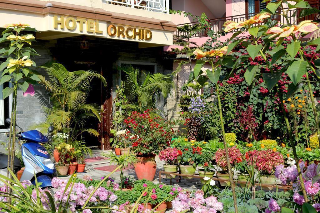 Zdjęcie Hotel Orchid 3*