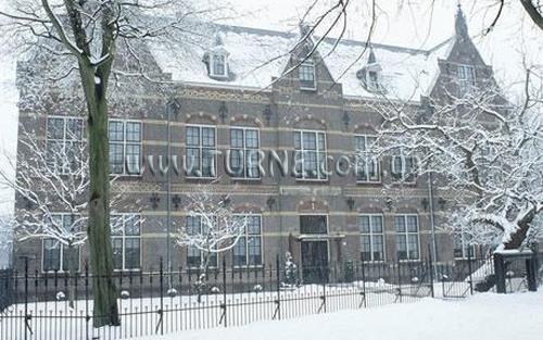 Фотографія College 4*