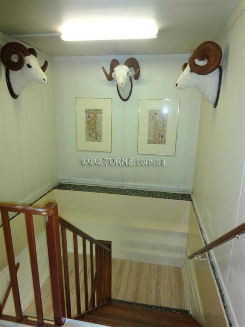 Картинка Budget Bargain Toko 2*