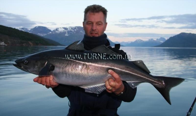 Obraz Sorheim Brygge 4*