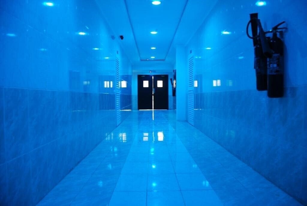 Фотографія The Paradise Inn + 2*