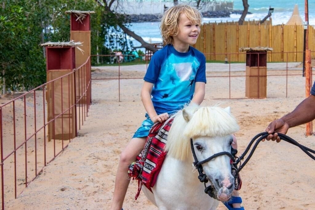 Obraz The Longbeach Campground кемпинг