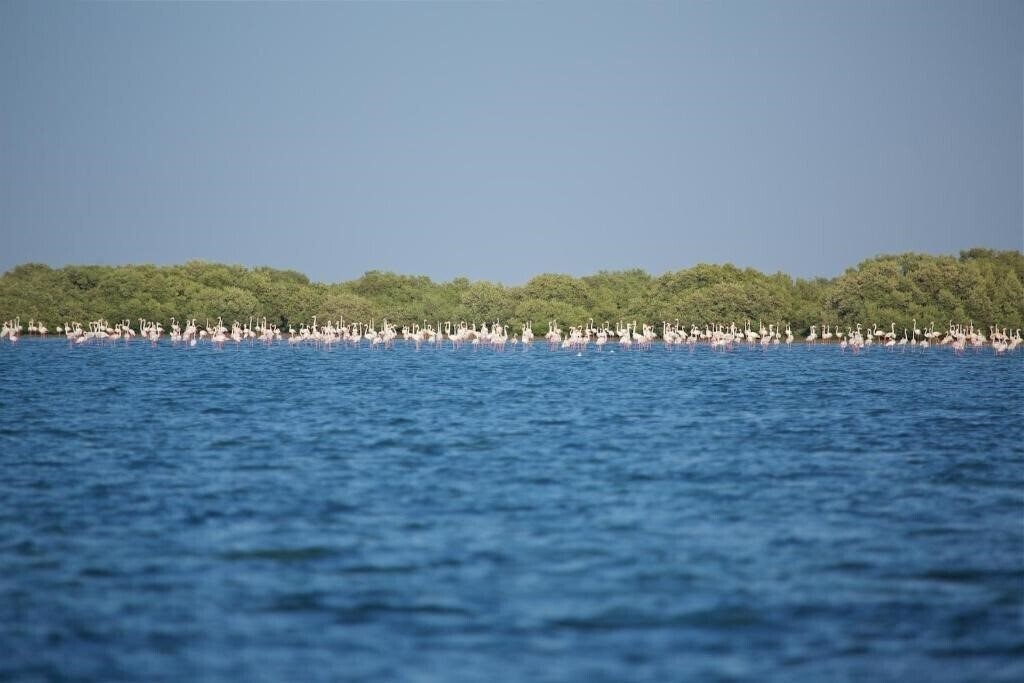 Obraz Flamingo by Bin Majid 3*