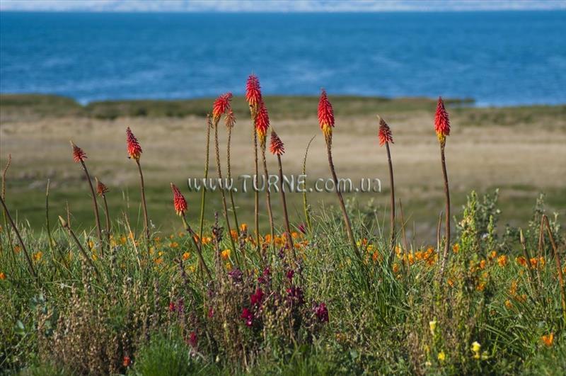 Hotel Taypikala Lago 4*