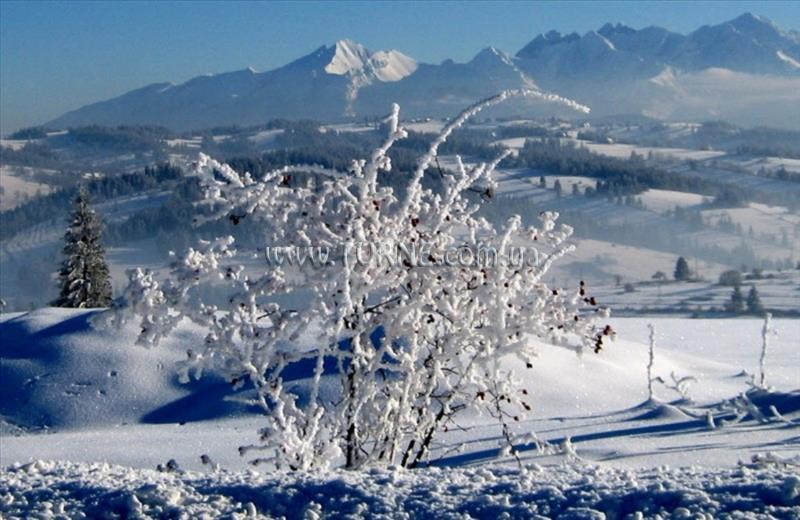 Hotel Helena Zakopane Harenda апартаменты