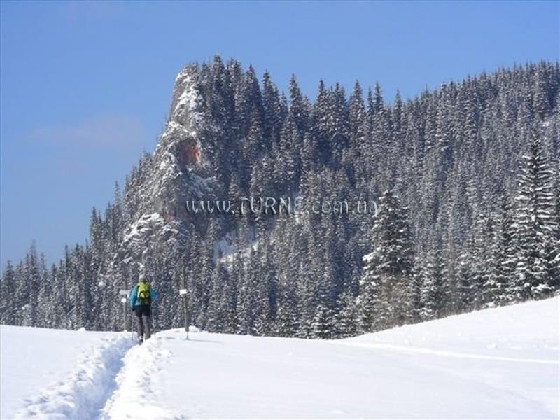 Фотографія Nad Potokiem апартаменты