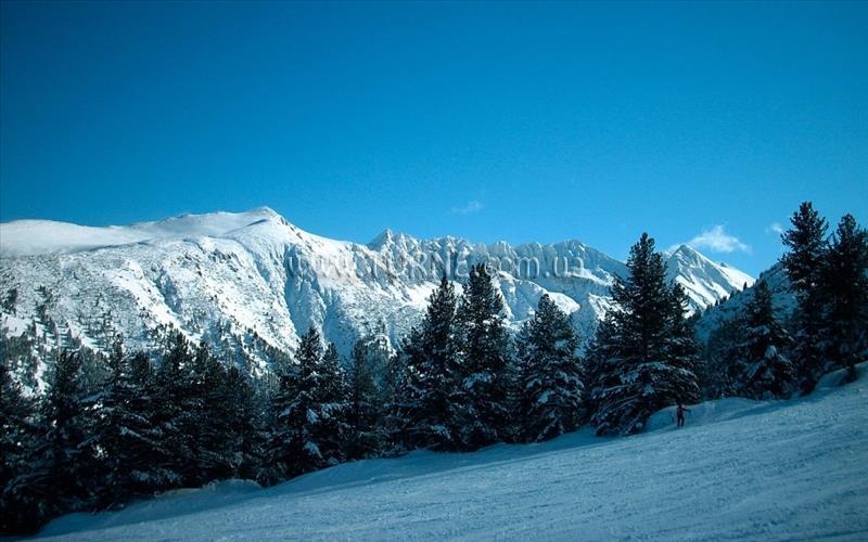 Зображення Apartamenty Orange апартаменты