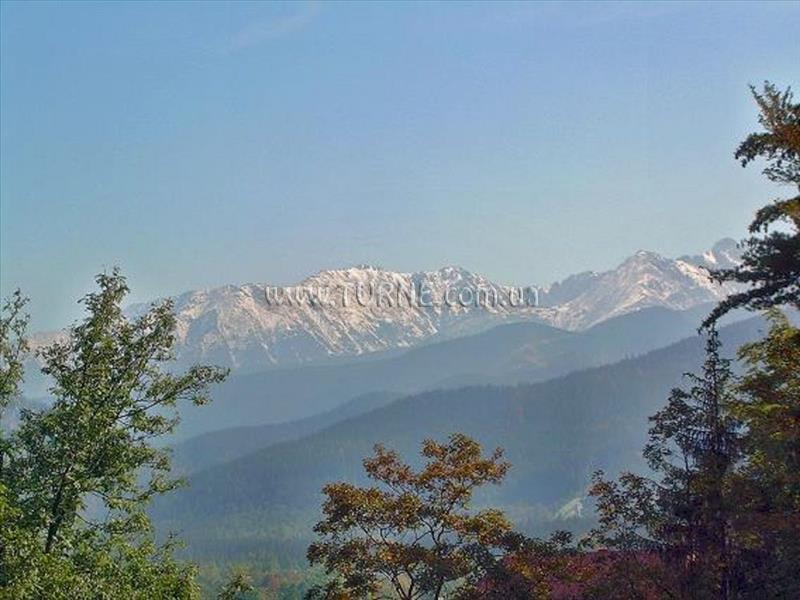 Zdjęcia Cottage Jedrus I Marysia коттедж