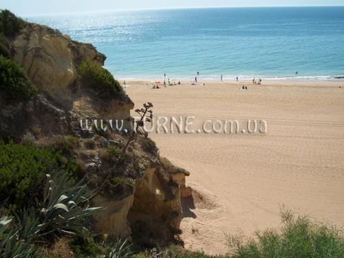 Зображення Alisios 4*