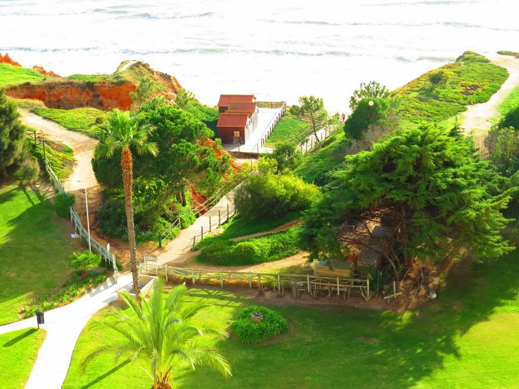 Zdjęcia Alfa Mar Beach & Sport Resort 4*