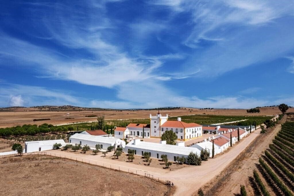 Зображення Torre De Palma Wine Hotel 5*