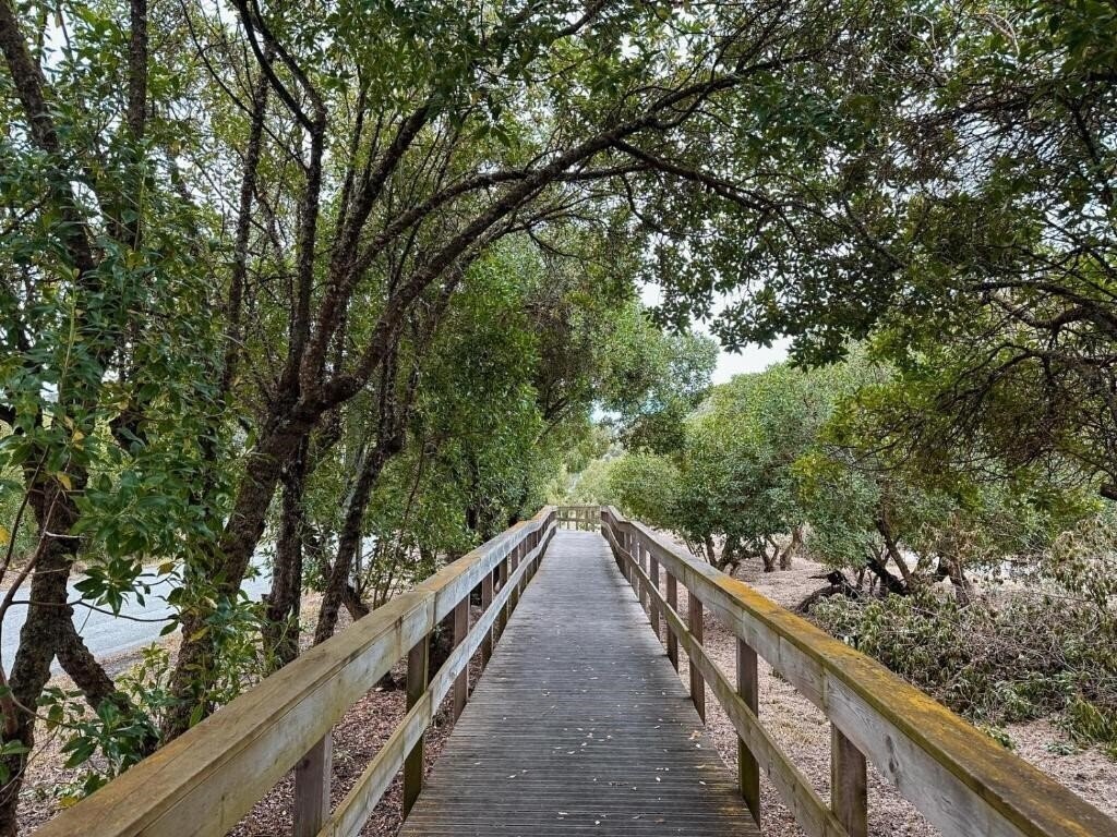 Zdjęcia Casa de Calcada 4*