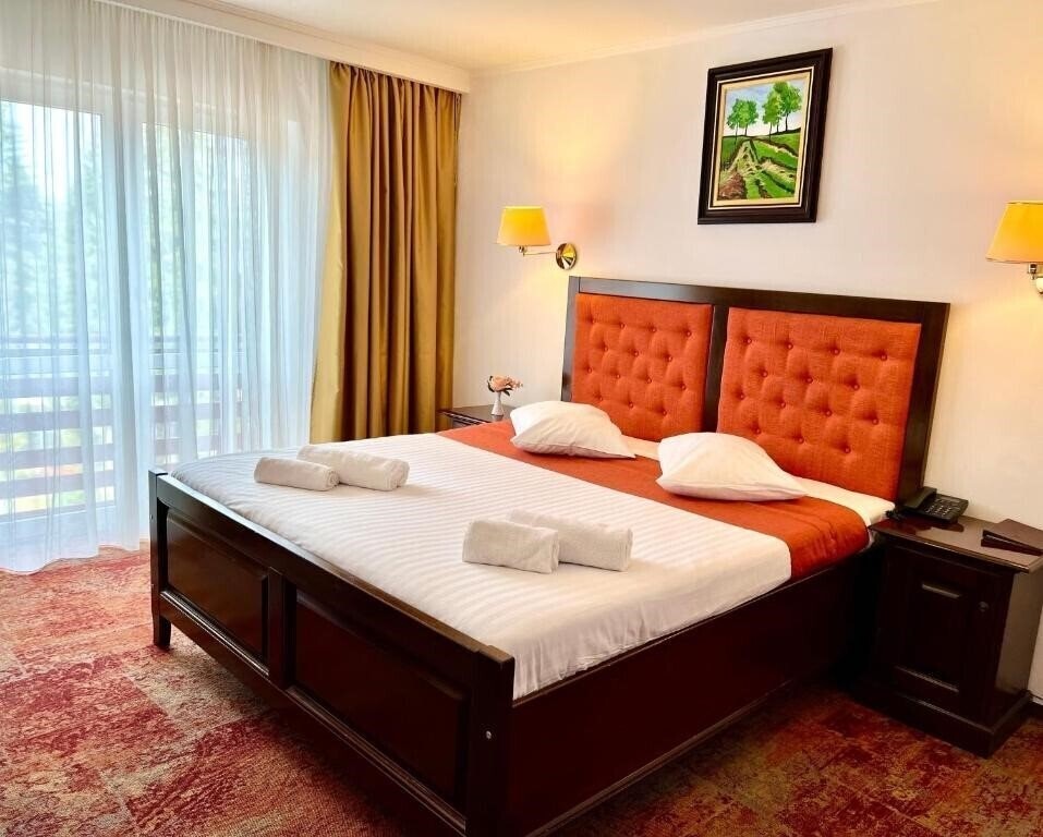 Фото Piatra Mare 4*