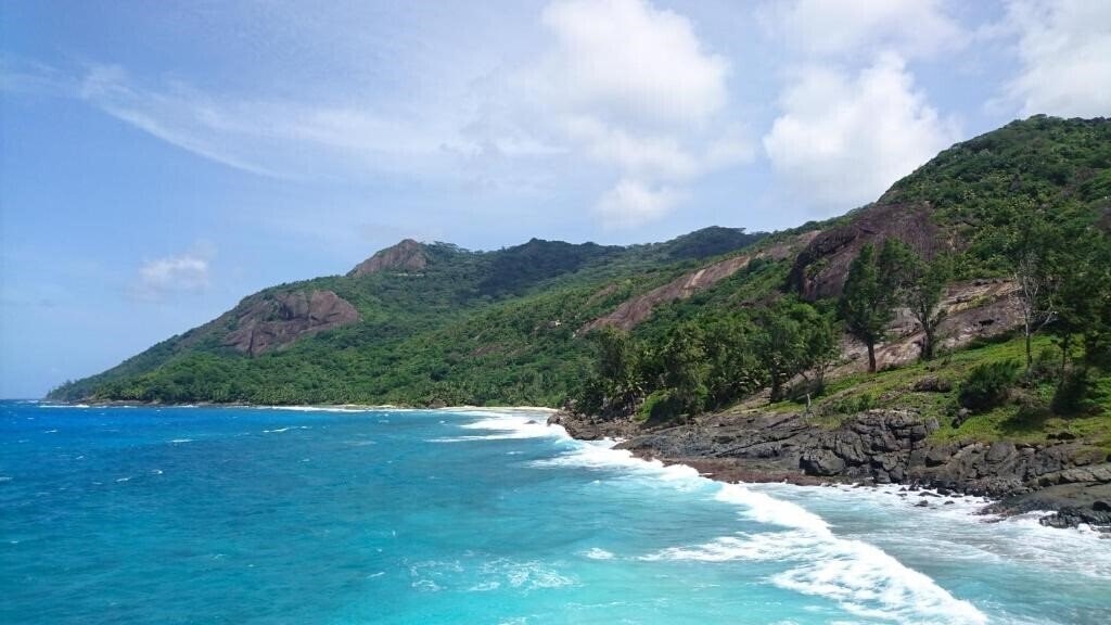 Зображення La Belle Tortue 4*