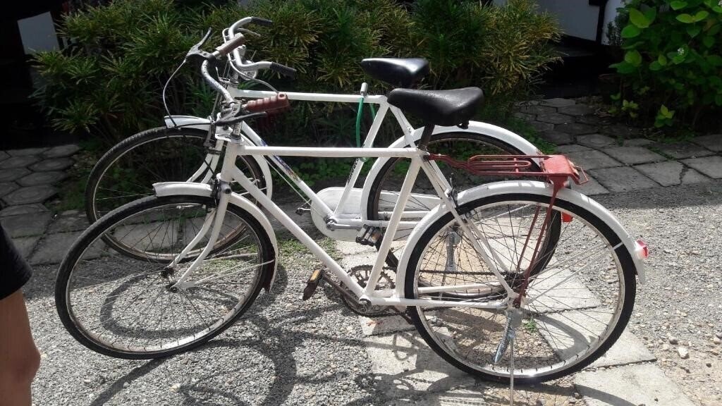 Obraz Anara Villa 3*