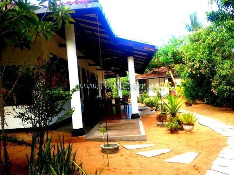 Zdjęcie The Danish Villa 2*