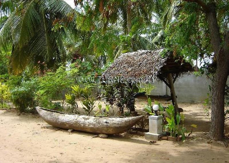 Zdjęcia The Danish Villa 2*