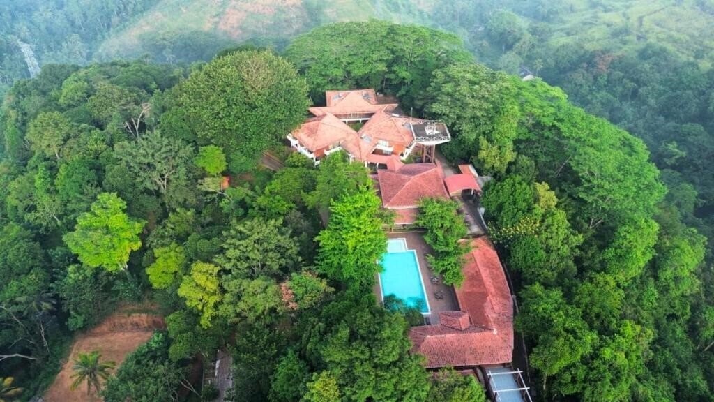 Отель Tree Of Life 4*