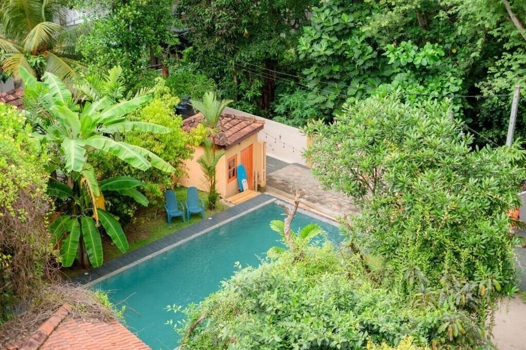 Zdjęcie Monkey Villa 3*