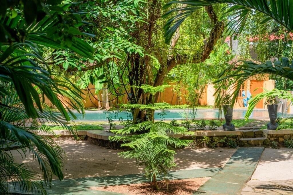 Obraz Monkey Villa 3*