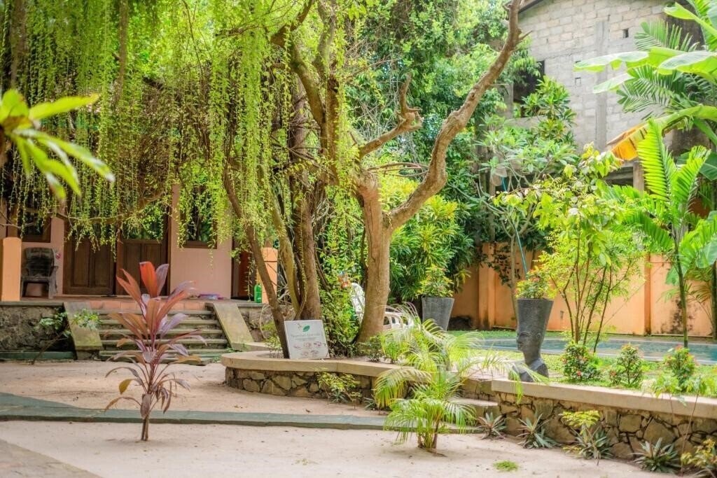 Zdjęcie Monkey Villa 3*