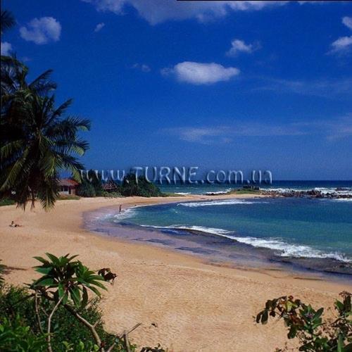 Картинка Bingo 3* (Коломбо) 3*