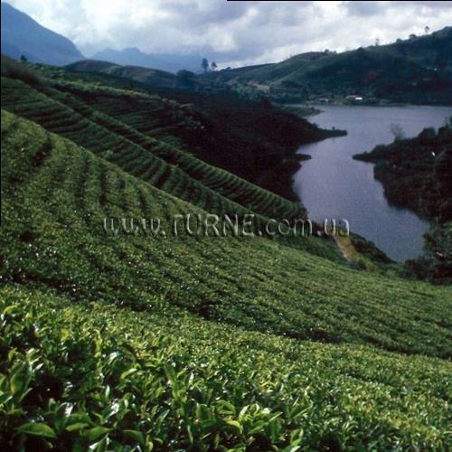 Фото Bingo 3* (Коломбо) 3*