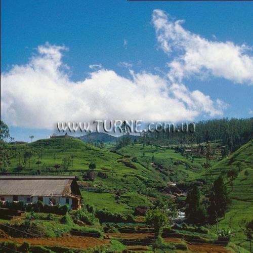 Готель Bingo 3* (Коломбо) 3*