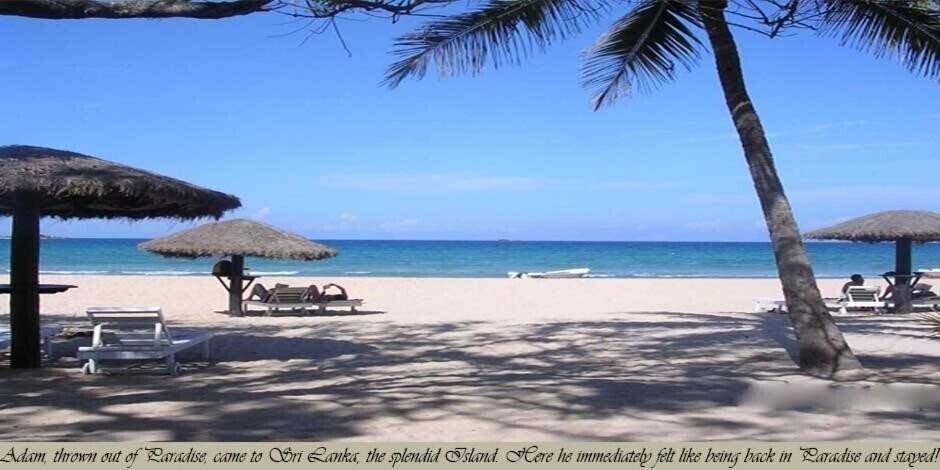 Готель Nilaveli Crystal Blue Hotel 3*