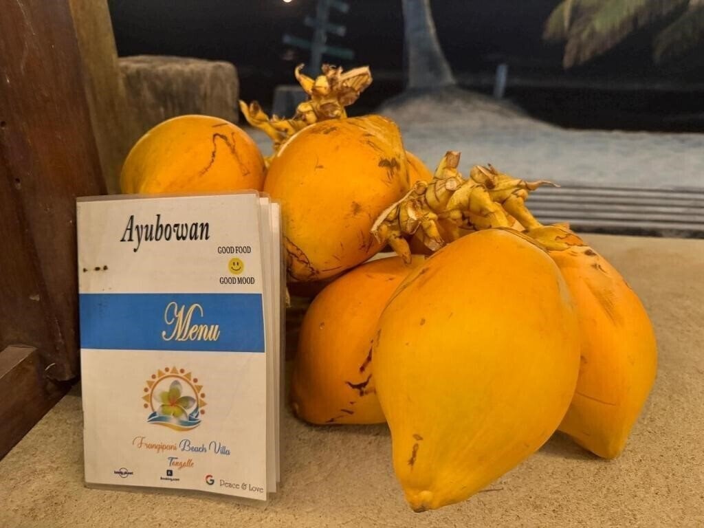 Фотографія Frangipani Beach Villa 4*