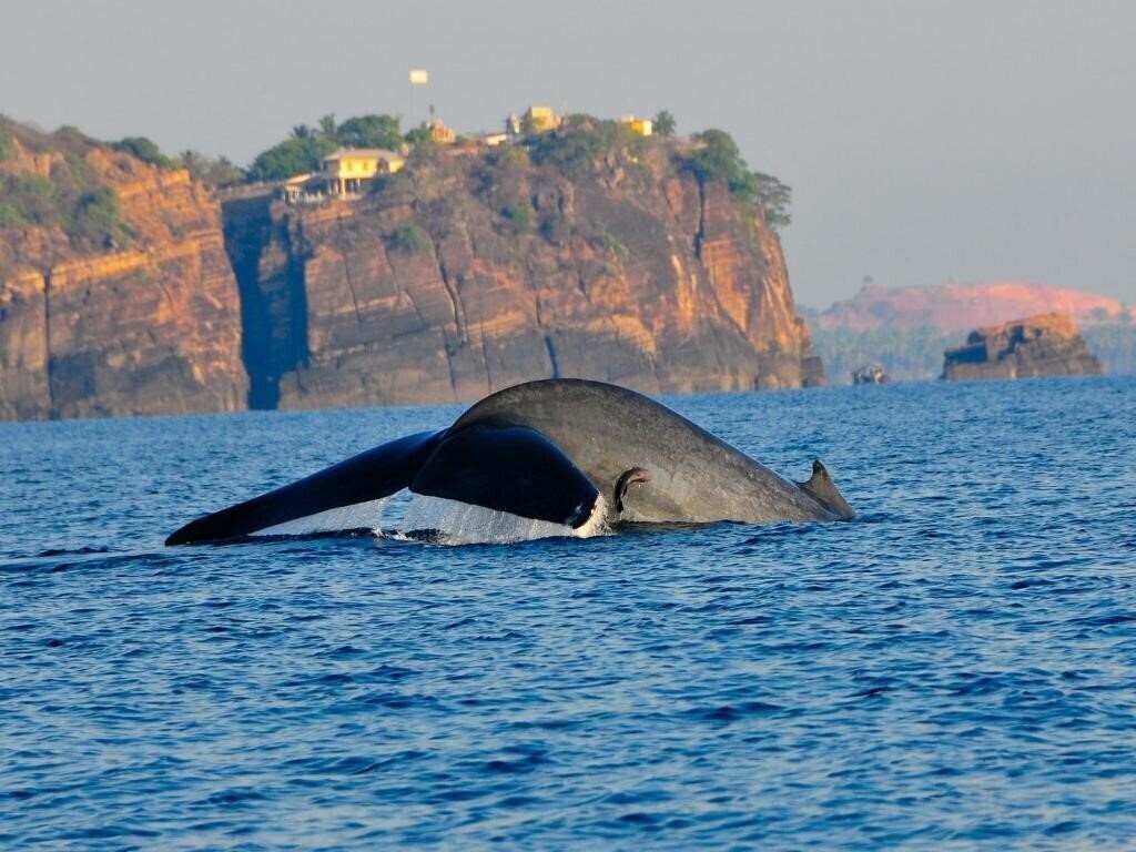 Obraz Trinco Blu by Cinnamon (ex. Chaaya Blu) 4*