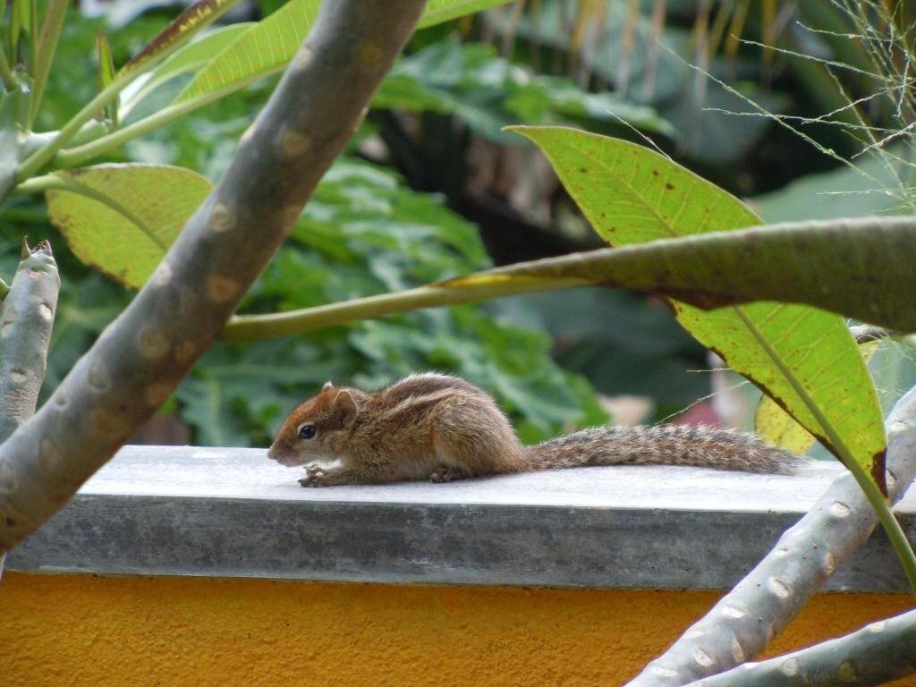 Картинка Villa Watuna 2*