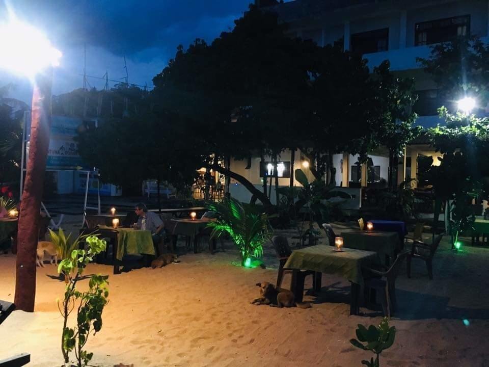 Zdjęcie Summer Garden (ex. Summer Garden) 2*