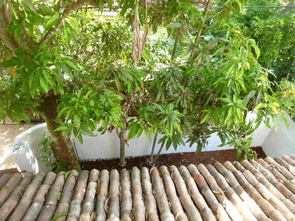 Фотография Villa Unawatuna 3*