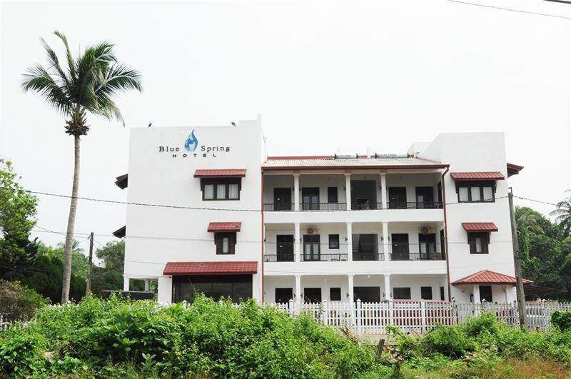 Фото Blue Spring Hotel 3*