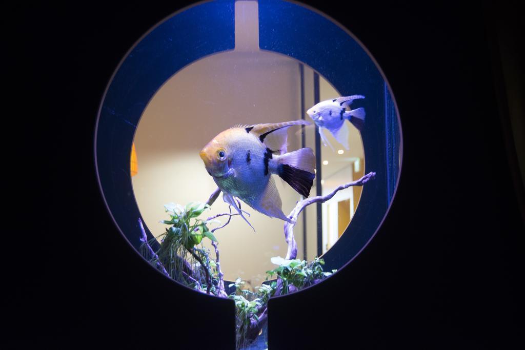 Obraz First Hotel Fridhemsplan 3*