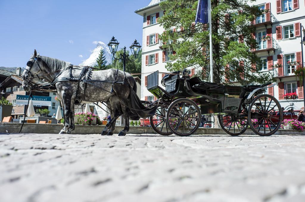 Зображення Grand Hotel Zermatterhof 5*