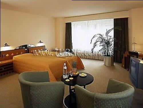 Zdjęcia Wellenberg 4*