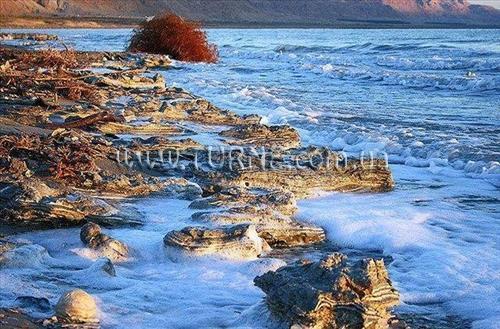 Отель Grand Chalet Belmont 4*